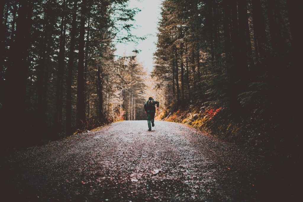 pexels-photo-1526790-1526790 A lone traveler runs down a scenic forest dirt road, surrounded by tall trees.